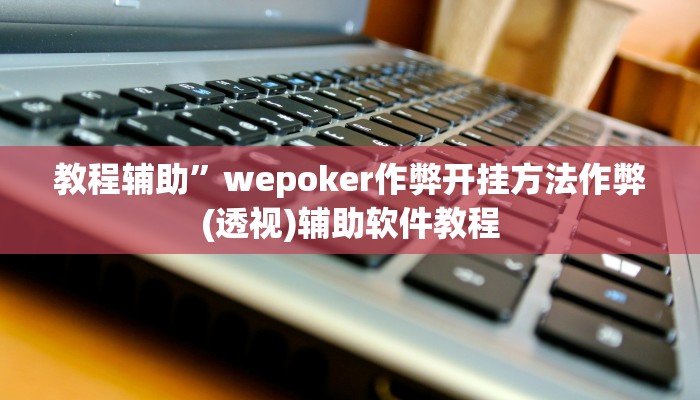 教程辅助”wepoker作弊开挂方法作弊(透视)辅助软件教程
