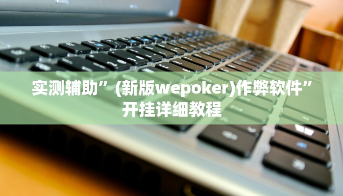 实测辅助”(新版wepoker)作弊软件”开挂详细教程