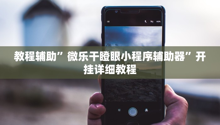 教程辅助”微乐干瞪眼小程序辅助器”开挂详细教程
