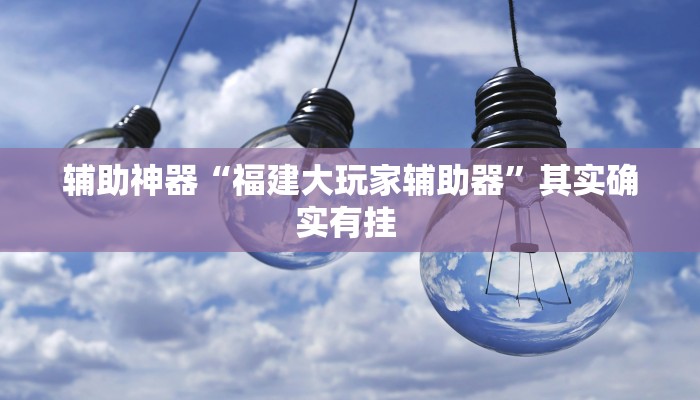 辅助神器“福建大玩家辅助器”其实确实有挂 