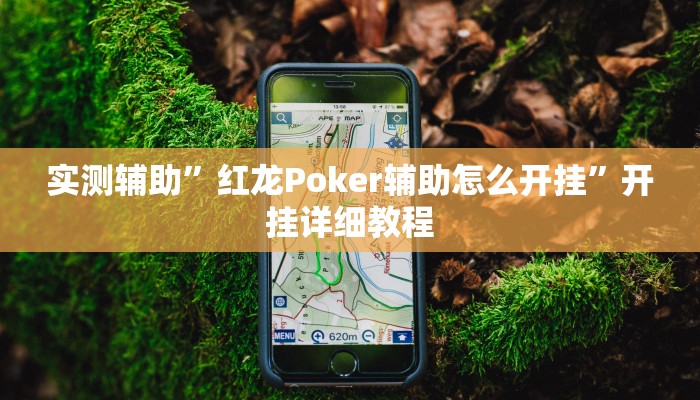 实测辅助”红龙Poker辅助怎么开挂”开挂详细教程