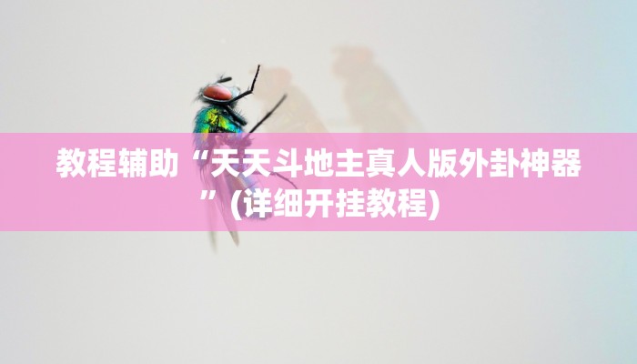 实测辅助”方块十三张辅助怎么开挂”(原来确实是有挂)