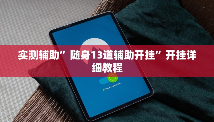 实测辅助”随身13道辅助开挂”开挂详细教程