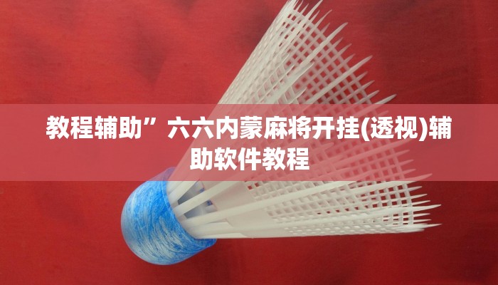 辅助神器“天天摸麻将怎么开挂”其实确实有挂 