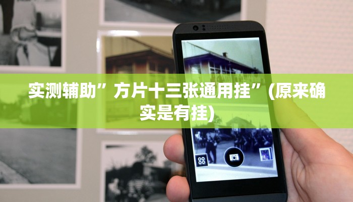 实测辅助”方片十三张通用挂”(原来确实是有挂)