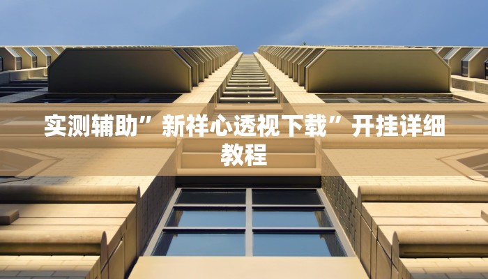 实测辅助”新祥心透视下载”开挂详细教程