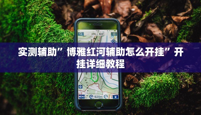 实测辅助”博雅红河辅助怎么开挂”开挂详细教程