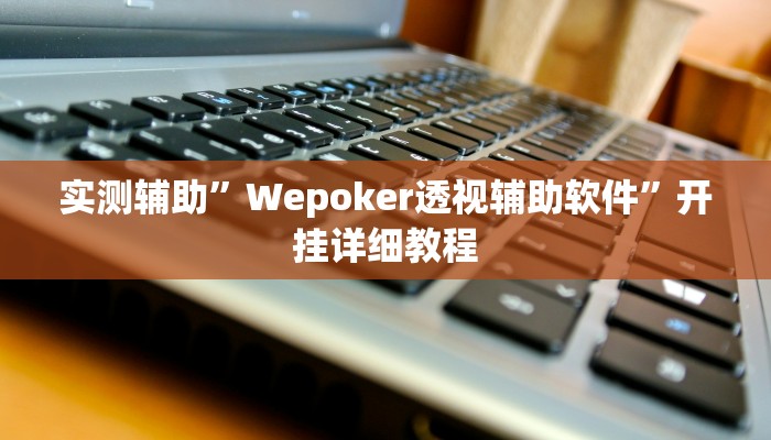 实测辅助”Wepoker透视辅助软件”开挂详细教程