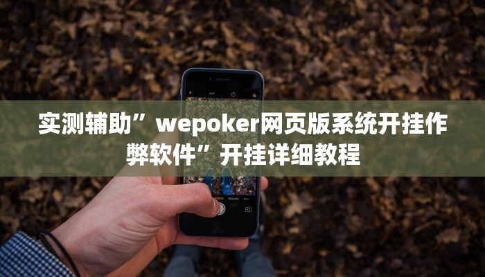 实测辅助”wepoker网页版系统开挂作弊软件”开挂详细教程