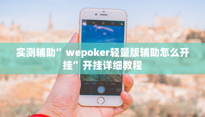 实测辅助”wepoker轻量版辅助怎么开挂”开挂详细教程