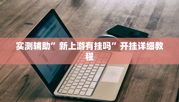 实测辅助”新上游有挂吗”开挂详细教程