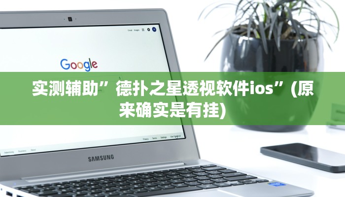 实测辅助”德扑之星透视软件ios”(原来确实是有挂)