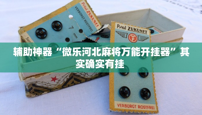 辅助神器“微乐河北麻将万能开挂器”其实确实有挂 