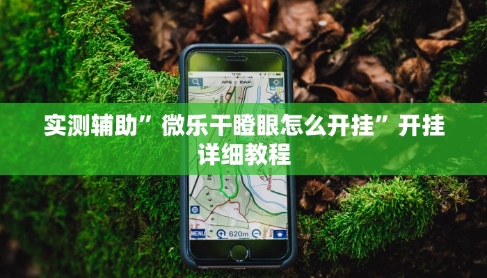 实测辅助”微乐干瞪眼怎么开挂”开挂详细教程