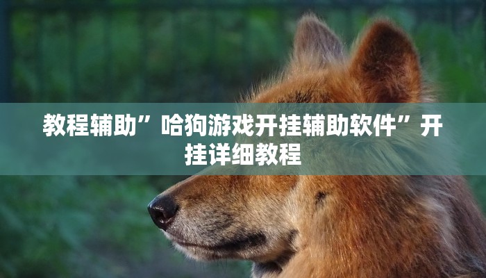教程辅助”哈狗游戏开挂辅助软件”开挂详细教程
