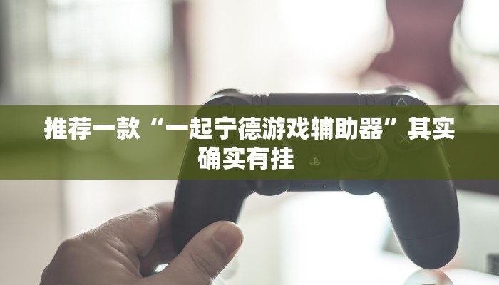 推荐一款“一起宁德游戏辅助器”其实确实有挂 
