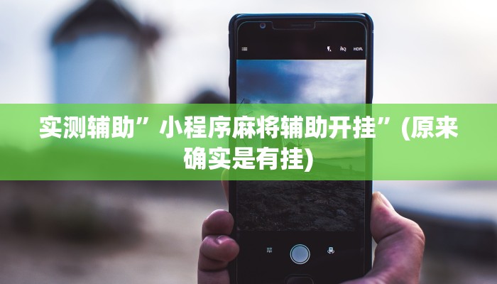 实测辅助”小程序麻将辅助开挂”(原来确实是有挂)