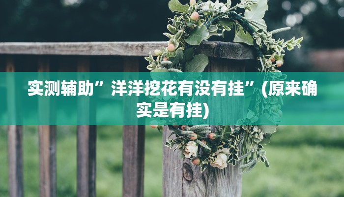 实测辅助”洋洋挖花有没有挂”(原来确实是有挂)