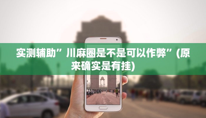实测辅助”川麻圈是不是可以作弊”(原来确实是有挂)