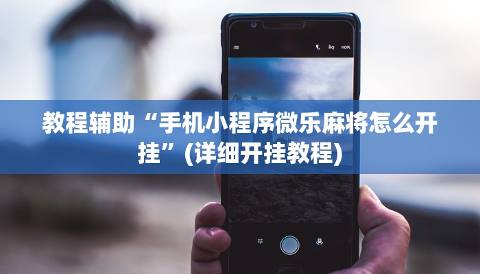 教程辅助“手机小程序微乐麻将怎么开挂”(详细开挂教程)