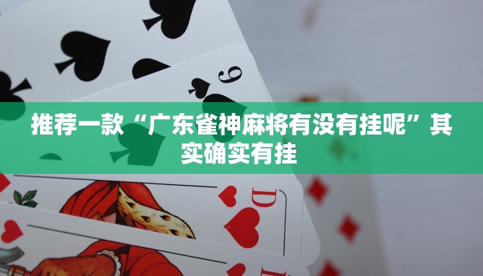 推荐一款“广东雀神麻将有没有挂呢”其实确实有挂 