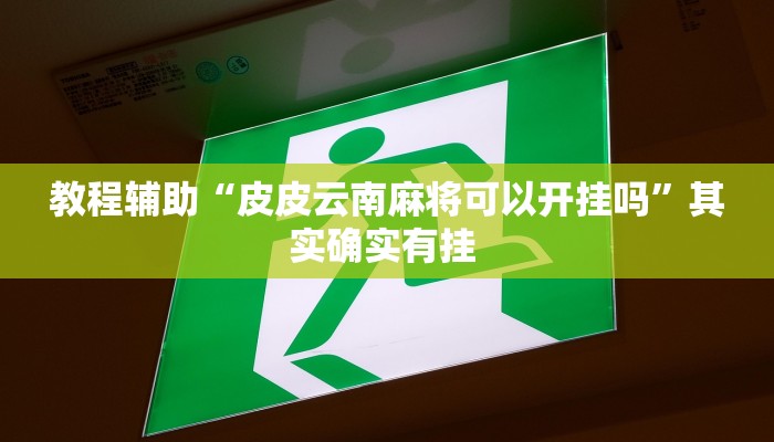 教程辅助“皮皮云南麻将可以开挂吗”其实确实有挂 