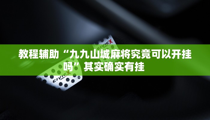 教程辅助“九九山城麻将究竟可以开挂吗”其实确实有挂 