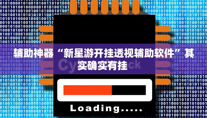 辅助神器“新星游开挂透视辅助软件”其实确实有挂 