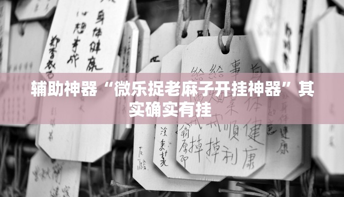 辅助神器“微乐捉老麻子开挂神器”其实确实有挂 