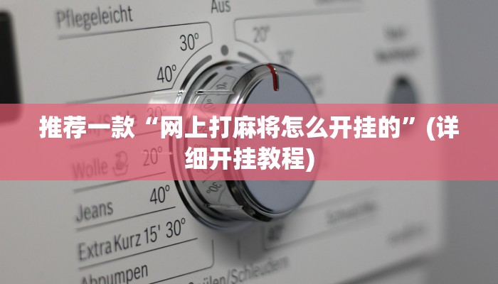 推荐一款“网上打麻将怎么开挂的”(详细开挂教程)