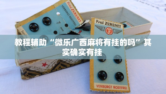 教程辅助“微乐广西麻将有挂的吗”其实确实有挂 