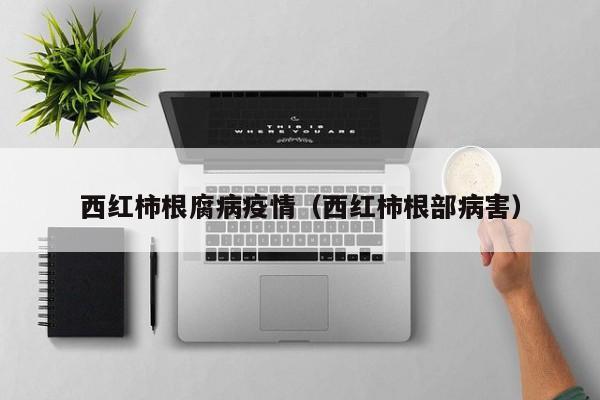 西红柿根腐病疫情（西红柿根部病害）