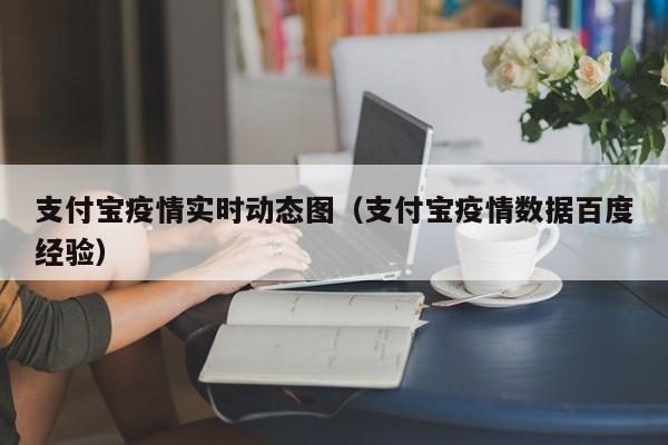 支付宝疫情实时动态图（支付宝疫情数据百度经验）