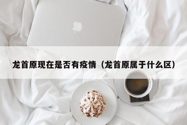 龙首原现在是否有疫情（龙首原属于什么区）