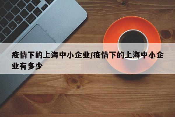 疫情下的上海中小企业/疫情下的上海中小企业有多少