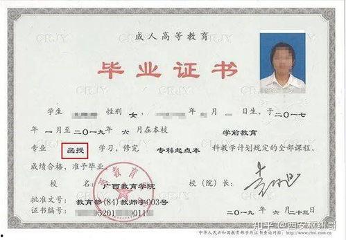 成人函授学习的视频,视频课程深度解析