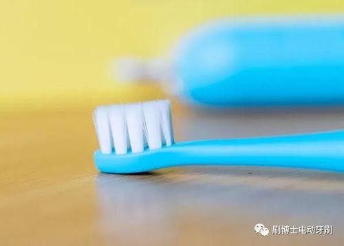 成人动物牙刷怎么用视频,轻松掌握清洁技巧